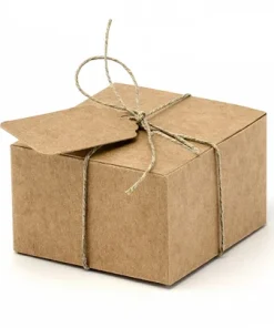 10 Scatoline Kraft Con Tag E Spago Per Chiusura (PUDP22)